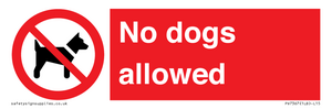 No dogs allowed